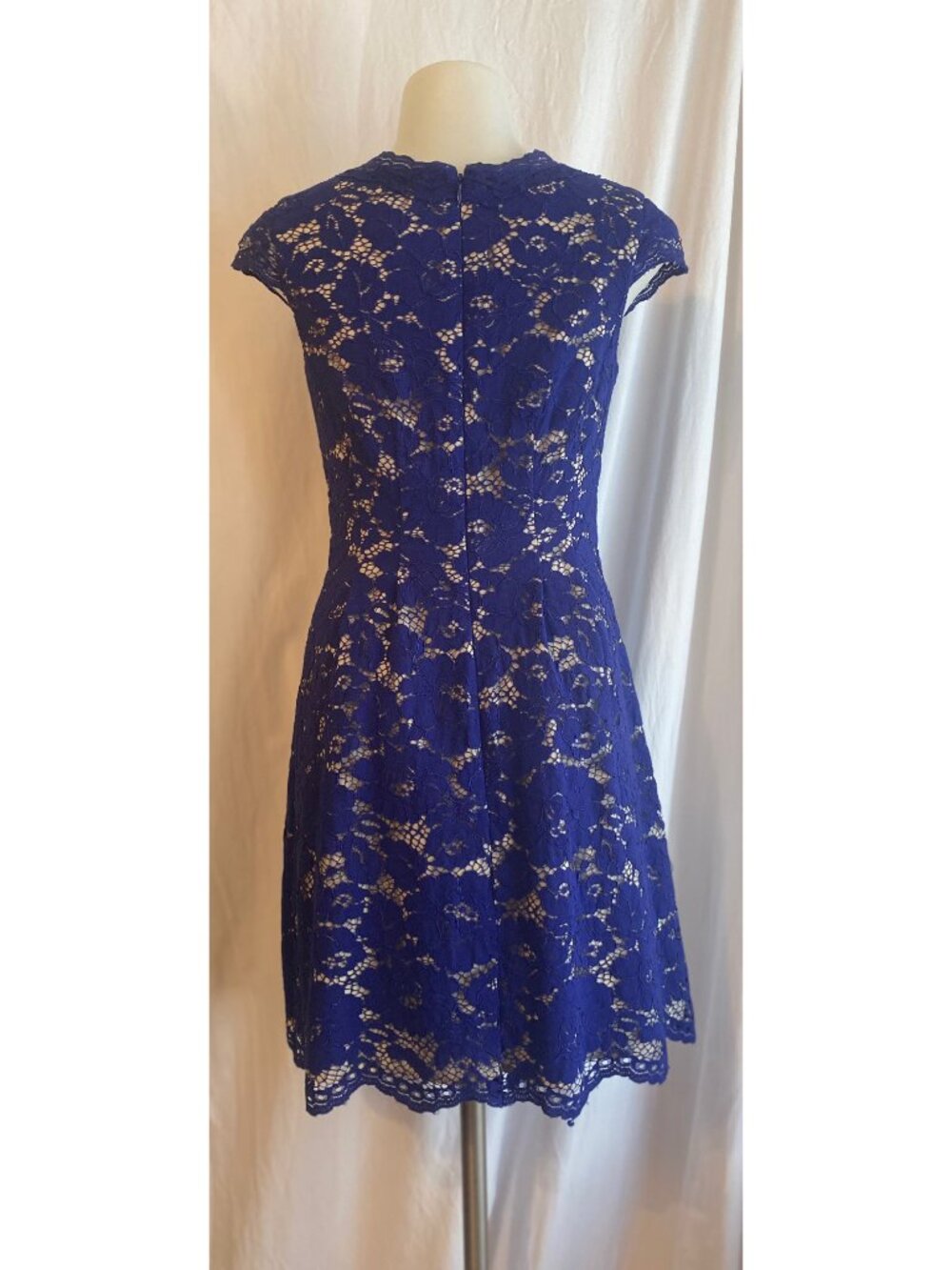 Vince Camuto Royal Blue Lace Fit & Flare Dress Women's Size 0 - Picture 2 of 9